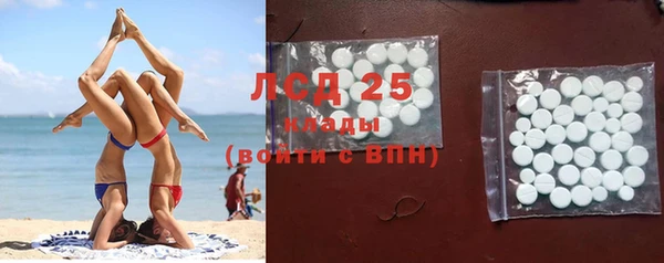 хмурый Каменногорск