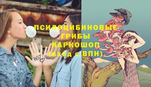 хмурый Каменногорск