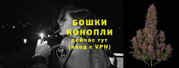 соль ск Каменка