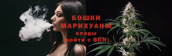 соль ск Каменка