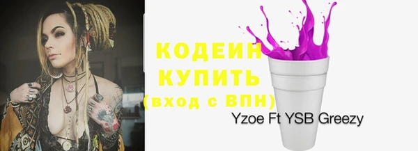 соль ск Каменка