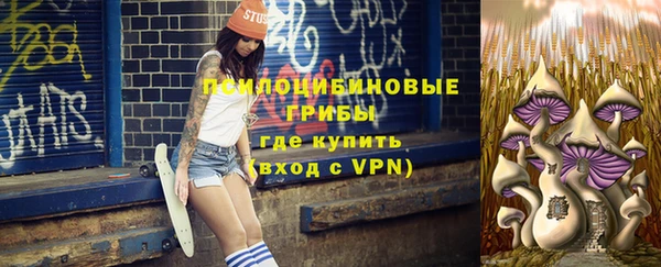 хмурый Каменногорск