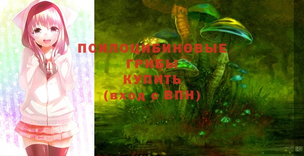 амф Каменск-Шахтинский