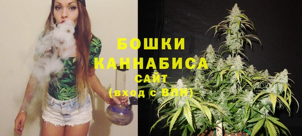 хмурый Каменногорск