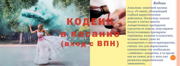 соль ск Каменка