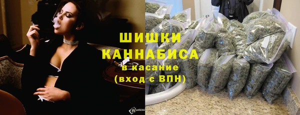 соль ск Каменка