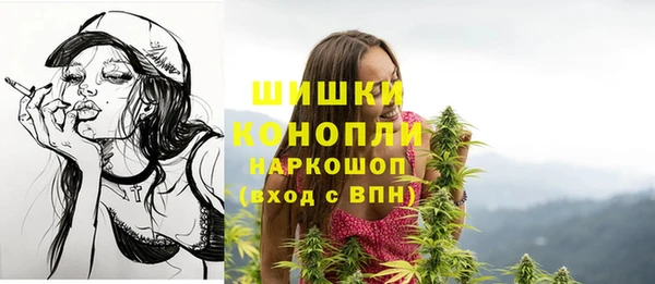 хмурый Каменногорск